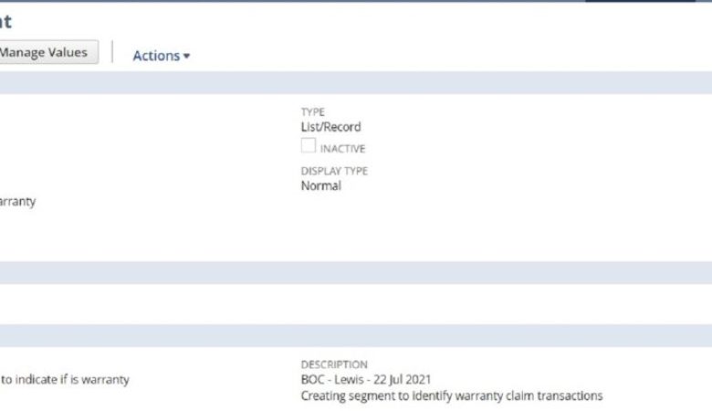 Netsuite_Custom-Segment-1024x411
